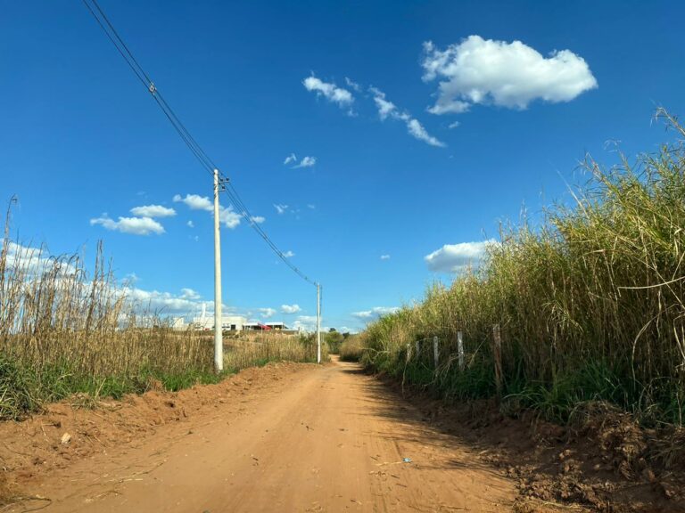 Homem é encontrado morto com seis tiros na cabeça em Campinas