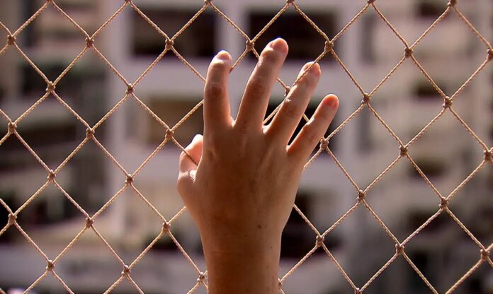 WhatsApp Image 2024-08-06 at 07.24.46