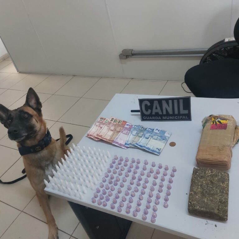 Guarda Municipal usa cão farejador e encontra drogas escondidas em praça de esportes
