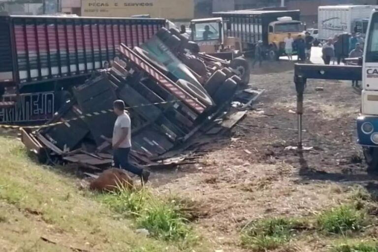 Carreta carregada com gado tomba, pega fogo e motorista de 52 anos morre em rodovia