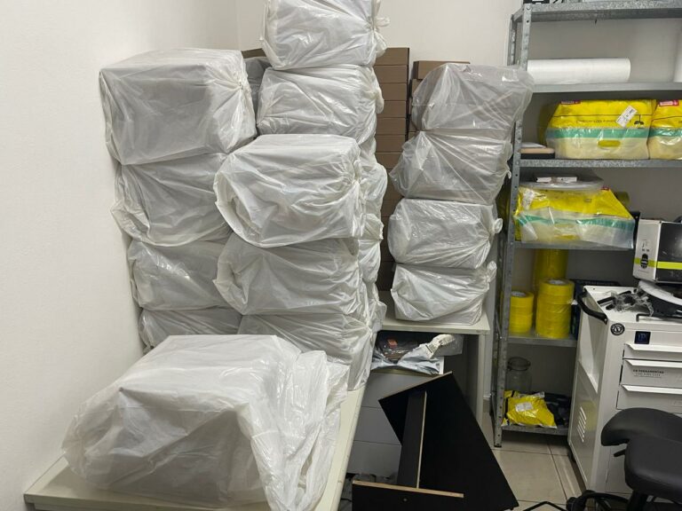 Os cogumelos estavam no interior de uma casa no bairro Vila Liberdade, em Jundiaí.