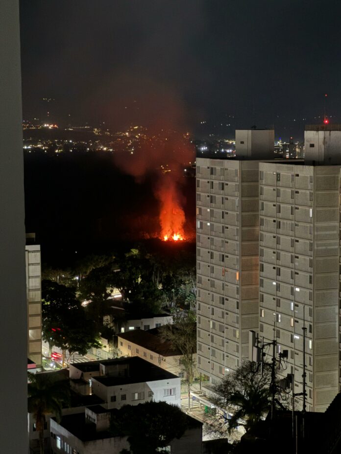 Incêndio atinge área de mata no Banhado em São José