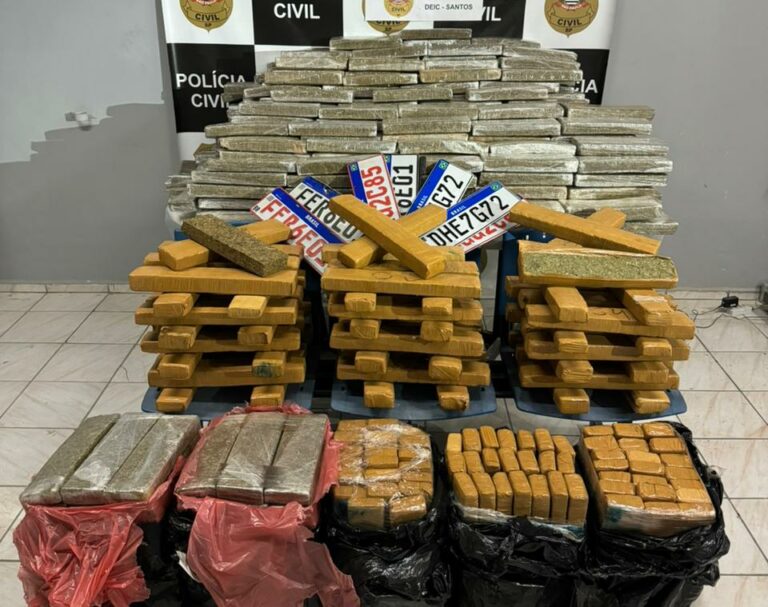 Homem é preso com meia tonelada de maconha que abasteceria pontos de tráfico na Baixada Santista