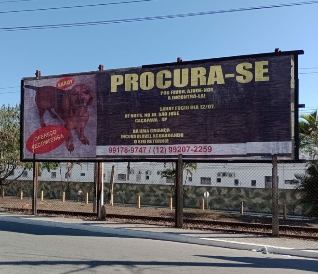 Família de Caçapava procura cachorrinha Sandy desaparecida há um mês