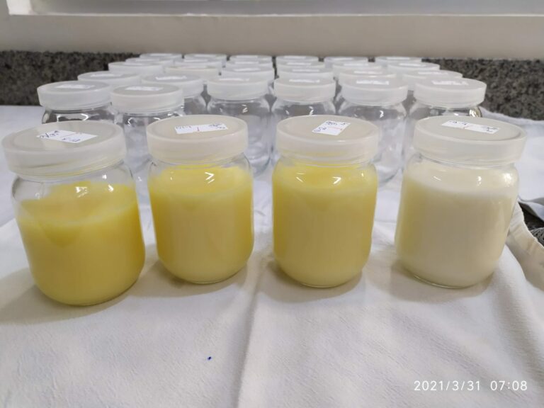 Araçatuba intensifica ações do Agosto Dourado 2024 com foco na amamentação