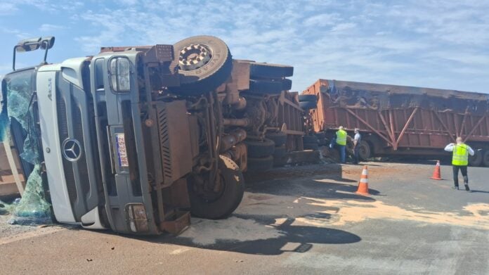 WhatsApp Image 2024-08-14 at 11.46.27