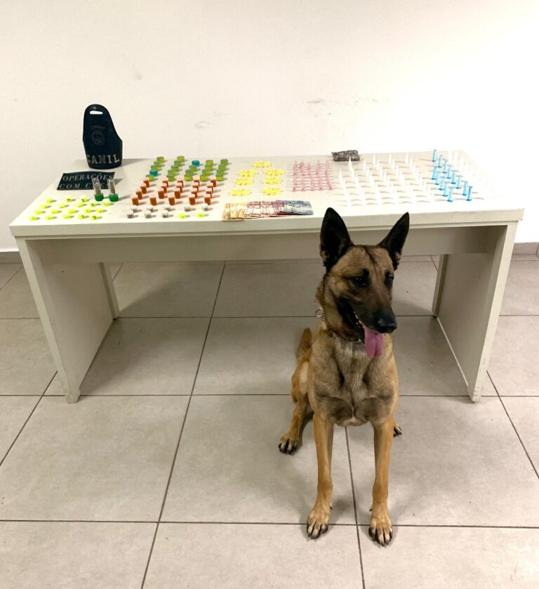 apreensão