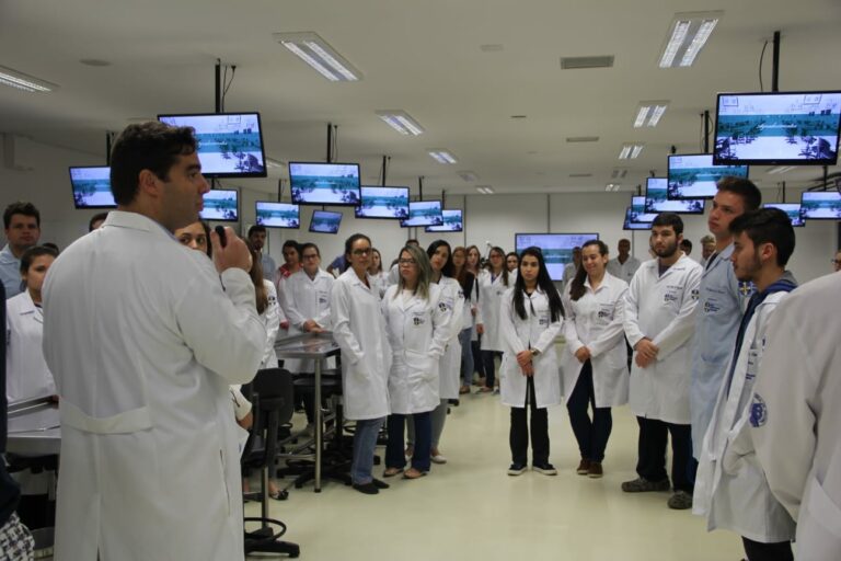 Vestibular da São Leopoldo Mandic está com inscrições abertas para 2025