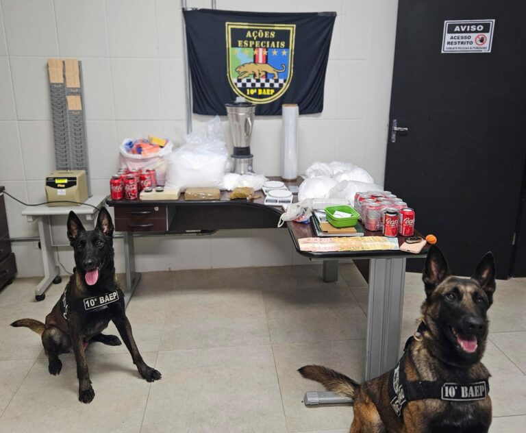 Polícia prende homem por tráfico com drogas no porta-malas