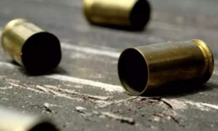 WhatsApp Image 2024-08-19 at 09.18.19