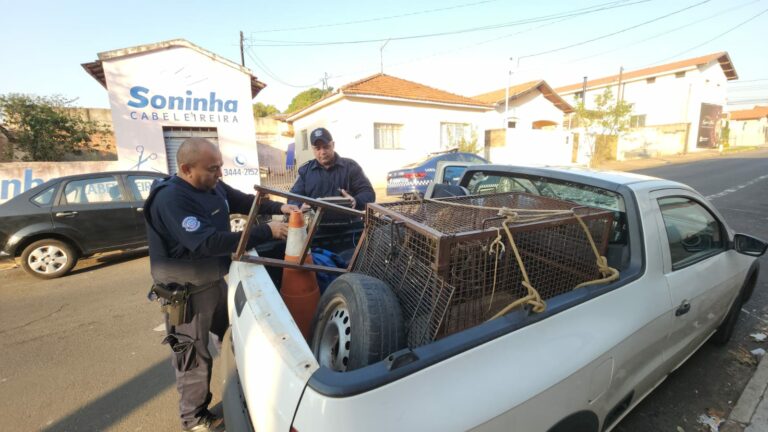 Guarda Municipal prende homem por furto no Centro de Controle de Zoonoses de Limeira