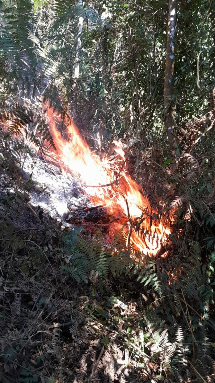 Incêndio de grandes proporções atinge área de vegetação em Bananal há três dias
