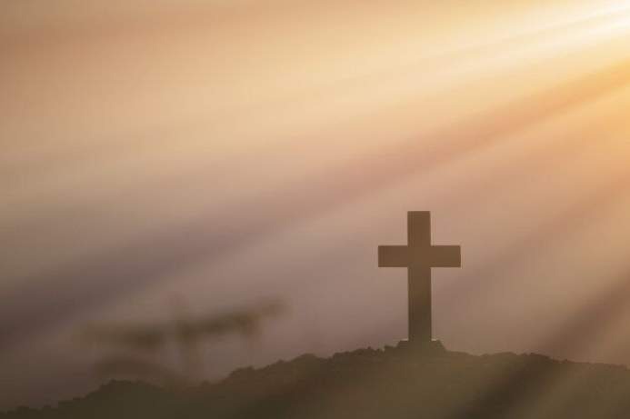 WhatsApp Image 2024-08-22 at 15.24.37