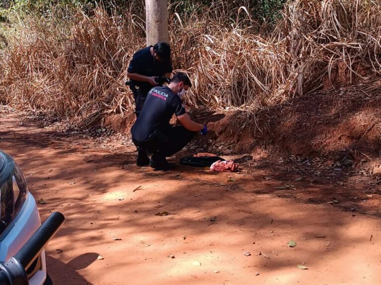 Polícia Civil de Rubiácea investiga abandono de recém-nascido em canavial