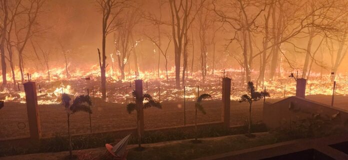 WhatsApp Image 2024-08-27 at 06.46.25