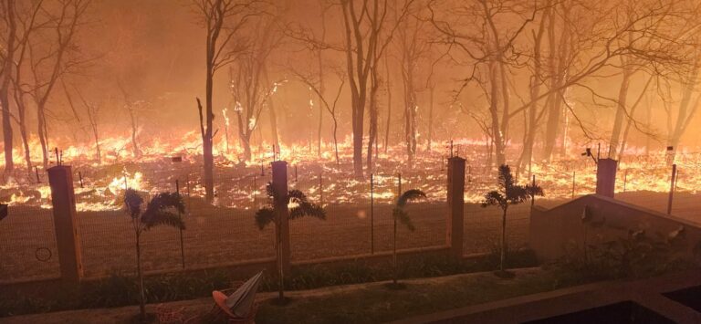 Com Ribeirão em alerta, tempo seco aumenta o risco de incêndios em SP