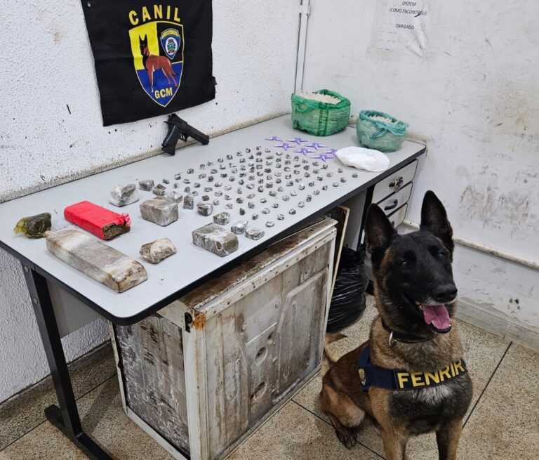 VÍDEO: Cão Policial da GCM localiza haxixe, cocaína e maconha próximo à avenida Rio Pardo