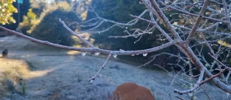 Campos do Jordão registra segunda menor temperatura do ano nesta terça (27)