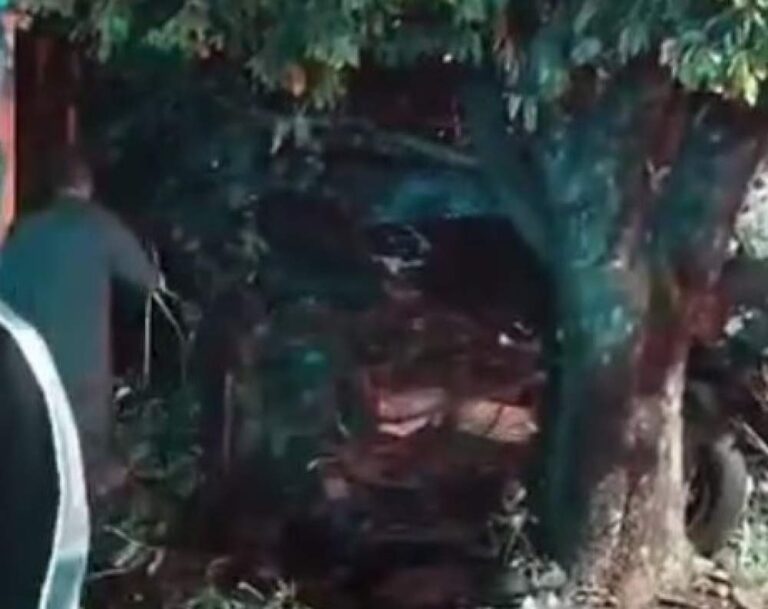 Condutor abandona caminhonete após colidir com árvore e muro em Araçatuba