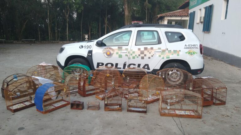 24 aves são resgatadas de cativeiro em são josé dos campos