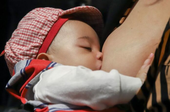 Aleitamento Materno Aleitamento Materno