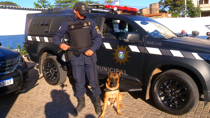 Em mais uma ação eficaz, o Canil da Guarda Municipal de Campinas realizou uma importante apreensão de drogas na Avenida Joaquim Olavo Sampaio.