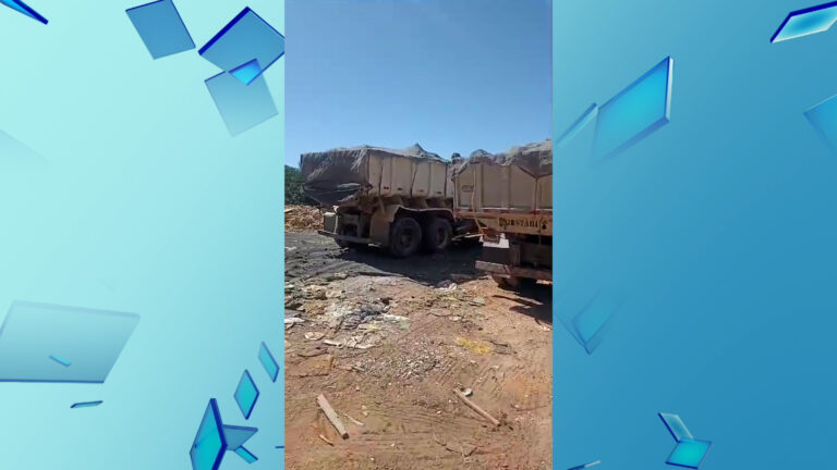 Três pessoas são detidas despejando entulho em área de preservação em Campinas