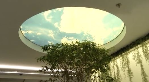 iluminação natural