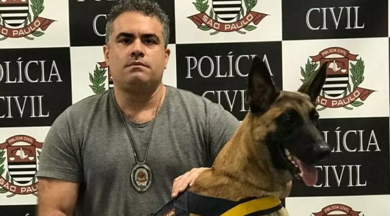 Ex-presidente do Santos FC Orlando Rollo, tem denúncia de negociar drogas apreendidas rejeitada pela Justiça