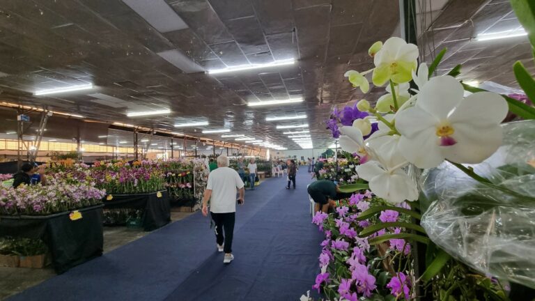 Fotos: Marília Pierre/Arquivo