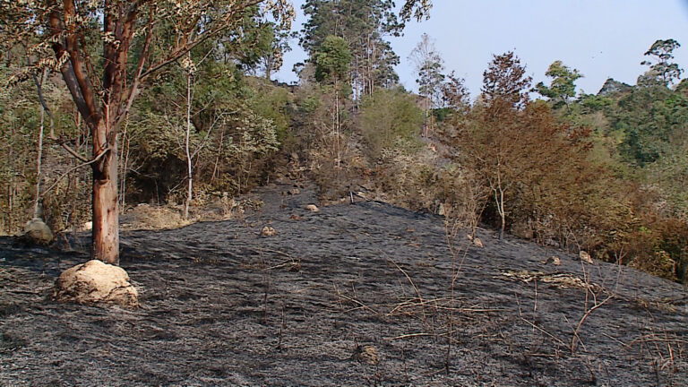 Bombeiros continuam trabalhando no combate à focos de incêndio em Valinhos
