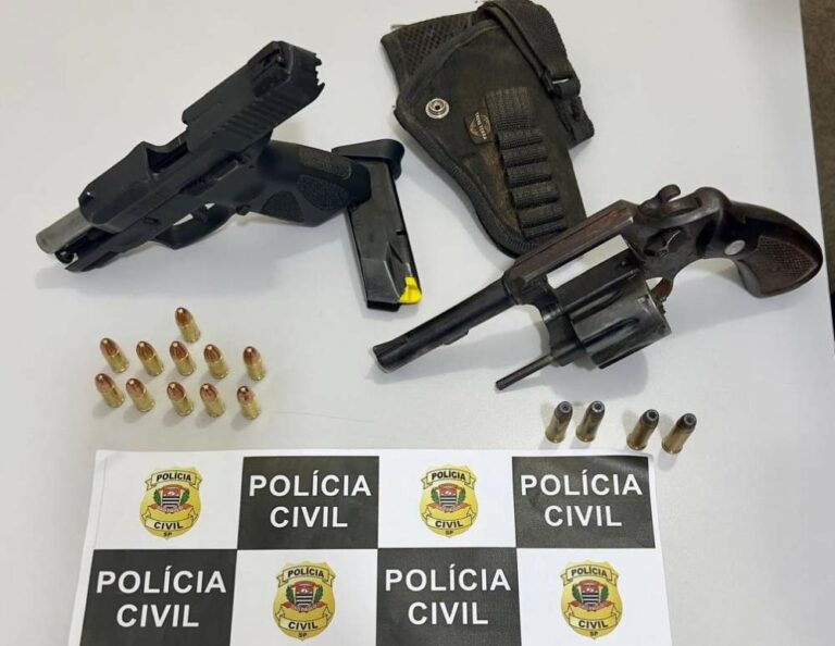 Polícia Civil realiza operação contra violência doméstica e apreende duas armas de fogo em Valparaíso