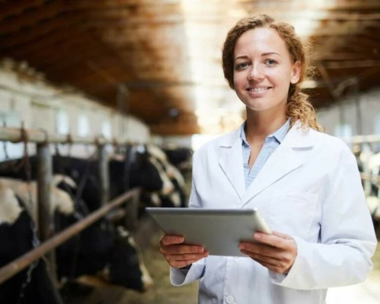 Câmara de Araçatuba vota contratação de veterinário para atuar em novo frigorífico