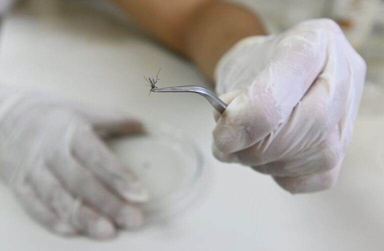 Campinas confirma mais cinco mortes por dengue e total vai a 65