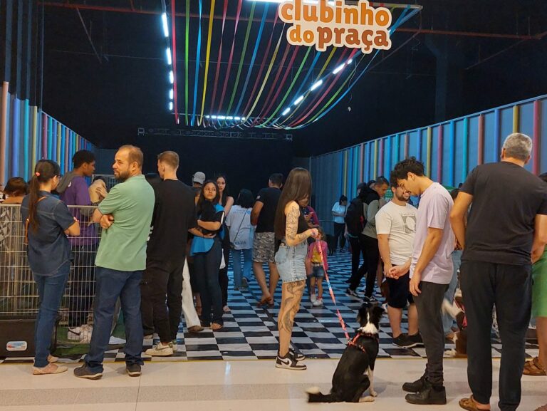 Shopping Praça Nova realiza encontro pet especial para cães da raça Yorkshire