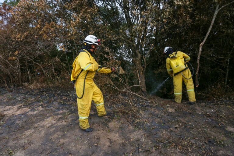 SP prorroga fechamento de Unidades de Conservação florestal no Vale