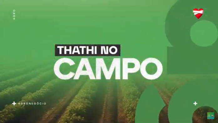 Universidade de Taubaté distribui cestas feitas a partir de produção orgânica