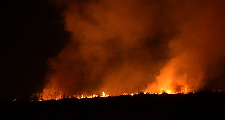 Incêndio atinge cabeceira do Aeroporto de Viracopos
