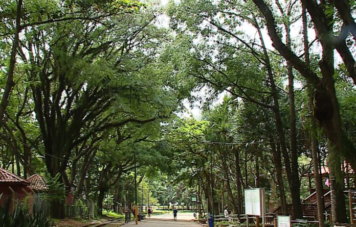 FINAL DE SEMANA FINAL DE SEMANA