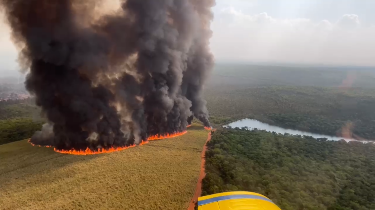 Defesa Civil: Incluindo a região de Ribeirão Preto, quatro municípios pegam fogo neste momento
