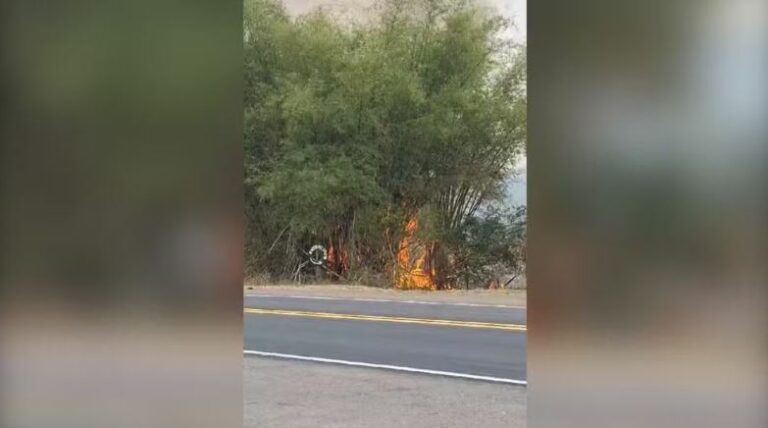 Dois homens são presos por atear fogo às margens de rodovia em Penápolis