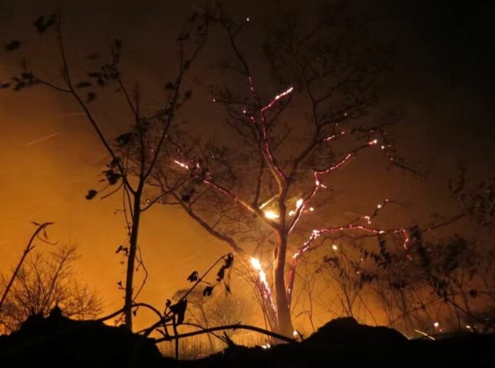 Foto: Brigada de Incêndio de Castilho/Divulgação