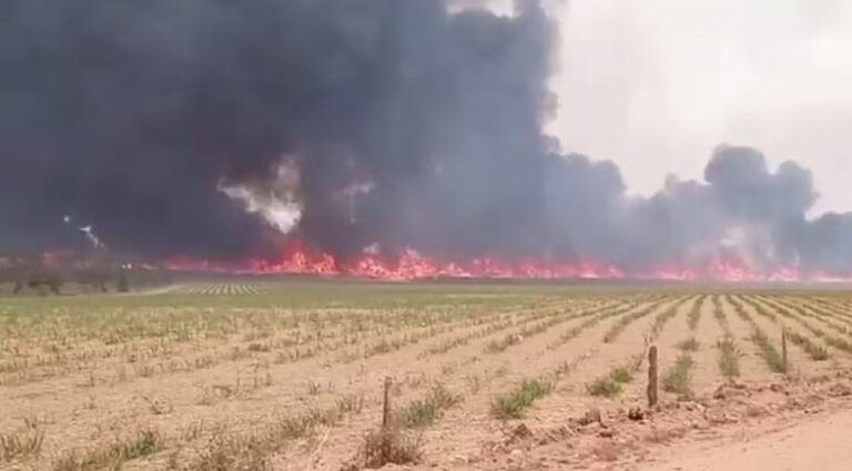 Incêndio força retirada de 58 pacientes de hospital psiquiátrico no interior de SP
