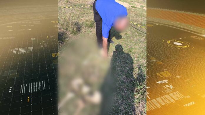 Ossada humana é encontrada em área rural em Elias Fausto