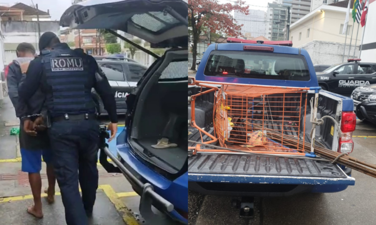 Homem furta mais de 10 barras de ferro de obras do VLT de Santos e é preso em flagrante