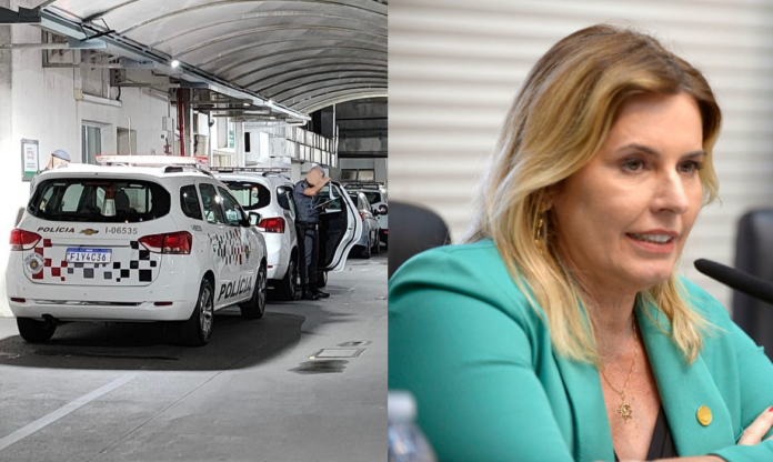 assessor solange freitas