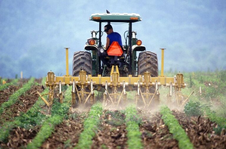 SP prevê programa para incentivar jovens no agro