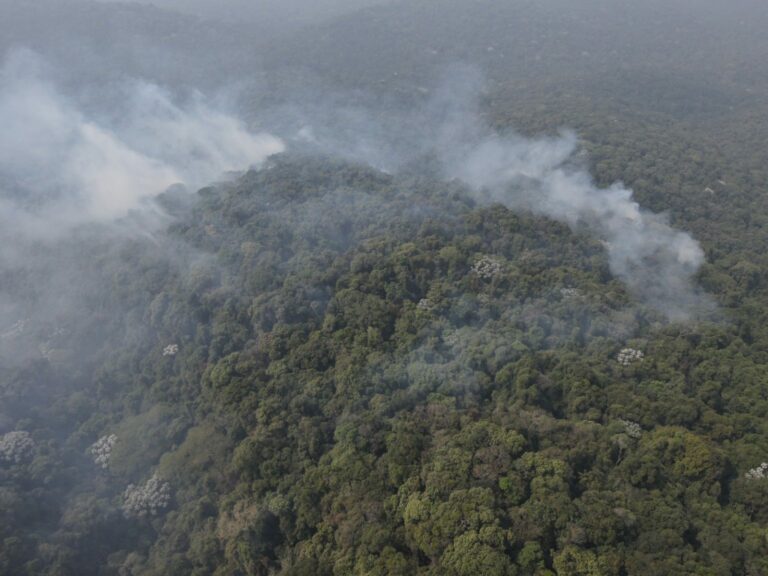Governo de SP libera verba milionária para combate a incêndios em vegetação