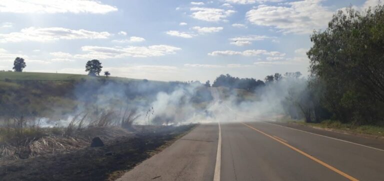 Limpeza de margens e resfriamento do asfalto: SP investe R$ 65 milhões na prevenção de incêndios na beira de rodovias