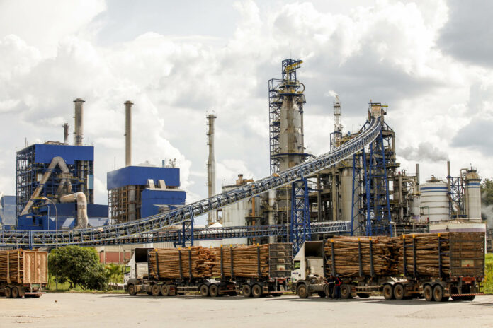 Suzano_Jacarei Suzano abre mais de 40 vagas efetivas e para Jovem Aprendiz em Jacareí